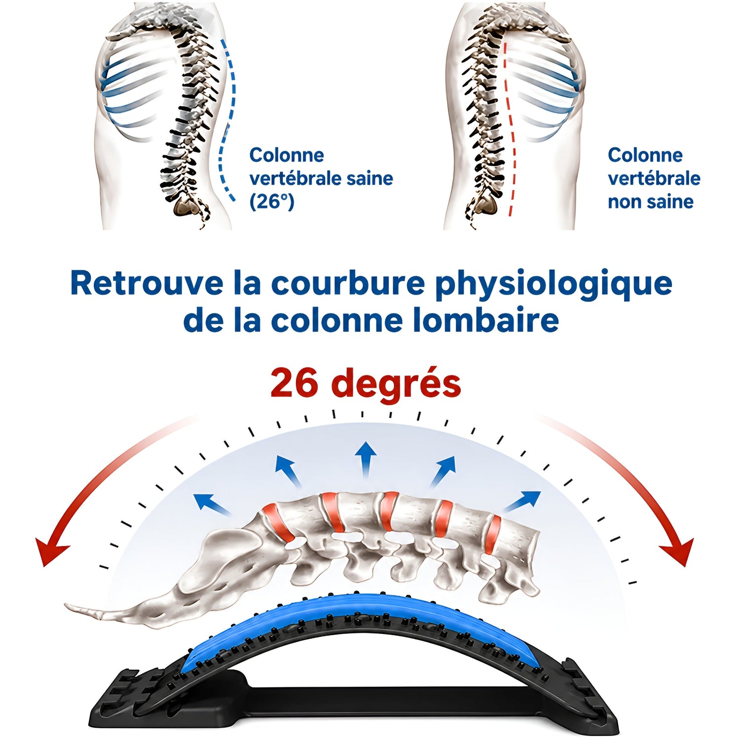 Civière Dorsale d&
