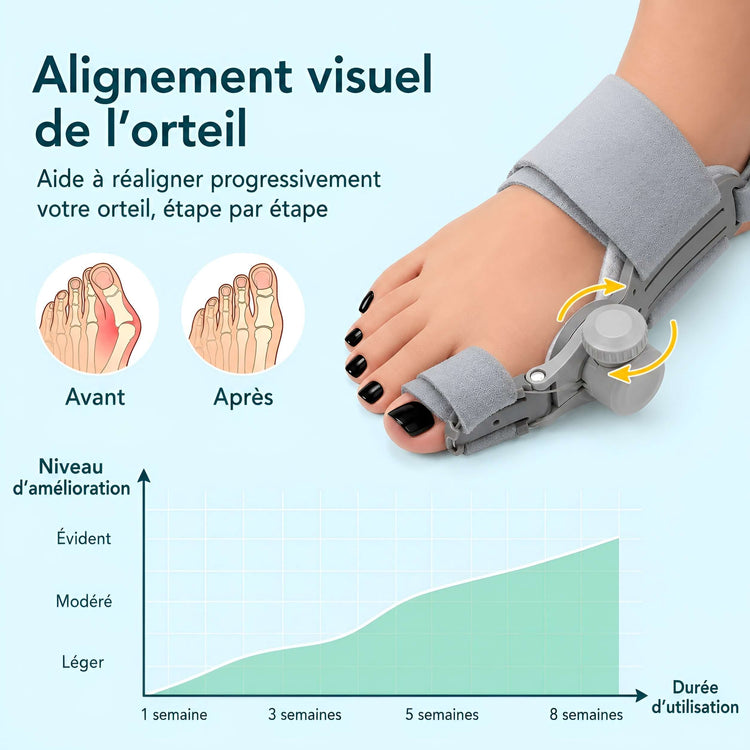 Attelle d&