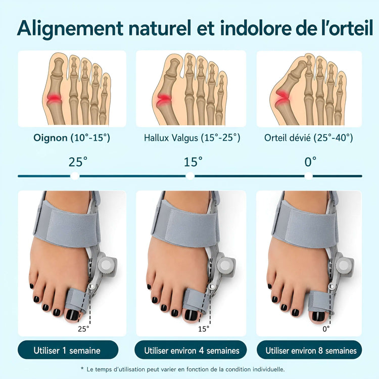 Attelle d&