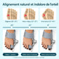 Attelle d&