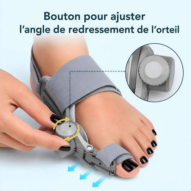 Attelle d&