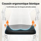 Déambulateur Rollator Confort — Autonomie, Sécurité & Mobilité Tout - Terrain - Aurélia CARE