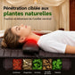Matelas de Massage Intégral — Relaxation Totale & Thermothérapie 10 Zones - Aurélia CARE