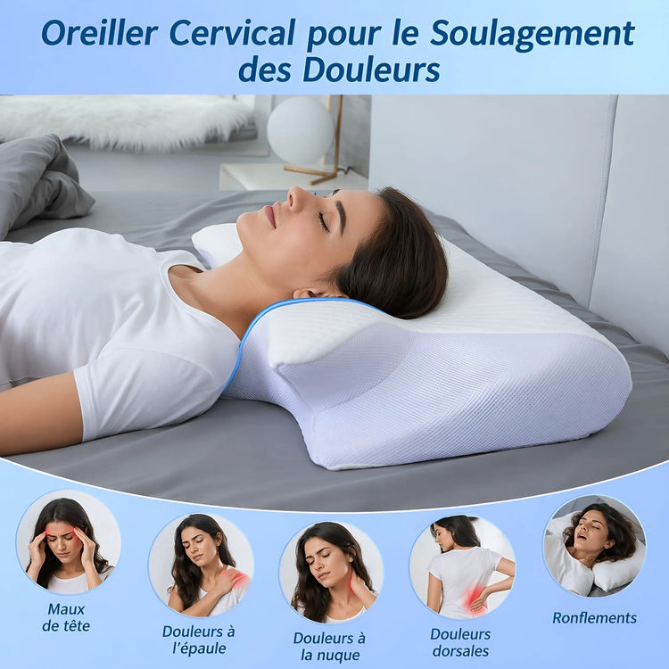 Oreiller Ergonomique Cervicales — Mousse à Mémoire de Forme Anti Douleurs - Aurélia CARE